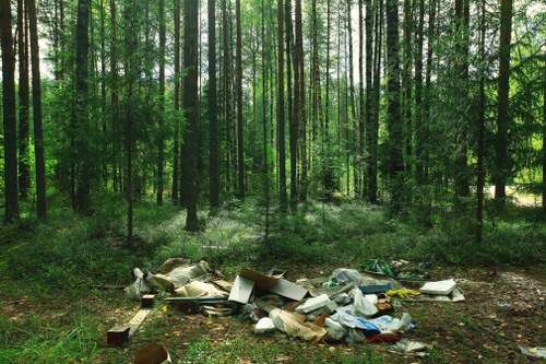 Affordable home clearance options in Norwood